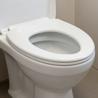  فلاپر توالت

